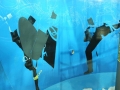 dive-tank-05