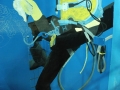 dive-tank-09