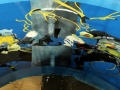 dive-tank-15