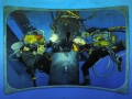 dive-tank-30