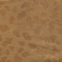 golden-leopard