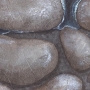 rocks