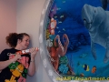 Healthcare Mural - Kids Playroom - Cindy Chinn