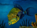 Healthcare Mural - Kids Playroom - Fish Detail