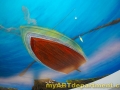 Underwater Mural for Dentist's Office - Rowboat